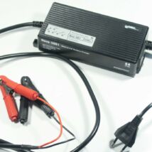LITE↯BLOX LB100I charger – LiFePO4 LFP lithium battery